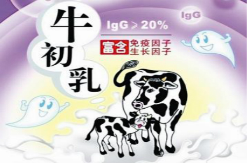 牛初乳十大品牌 十大牛初乳品牌排行榜 牛初乳哪个品牌好？