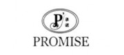 承诺PROMISE