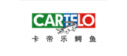 CARTELO卡帝乐鳄鱼品牌