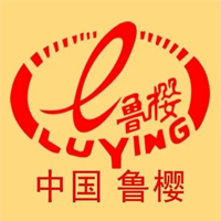 鲁樱LUYING